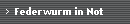 Federwurm in Not