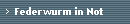 Federwurm in Not